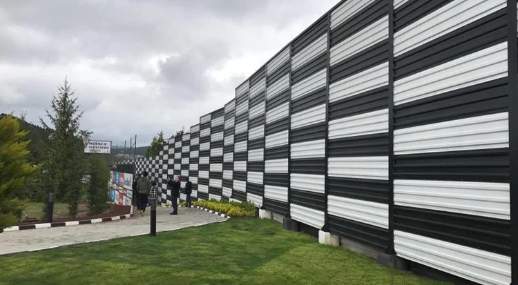 Besiktas Nevzat Demir